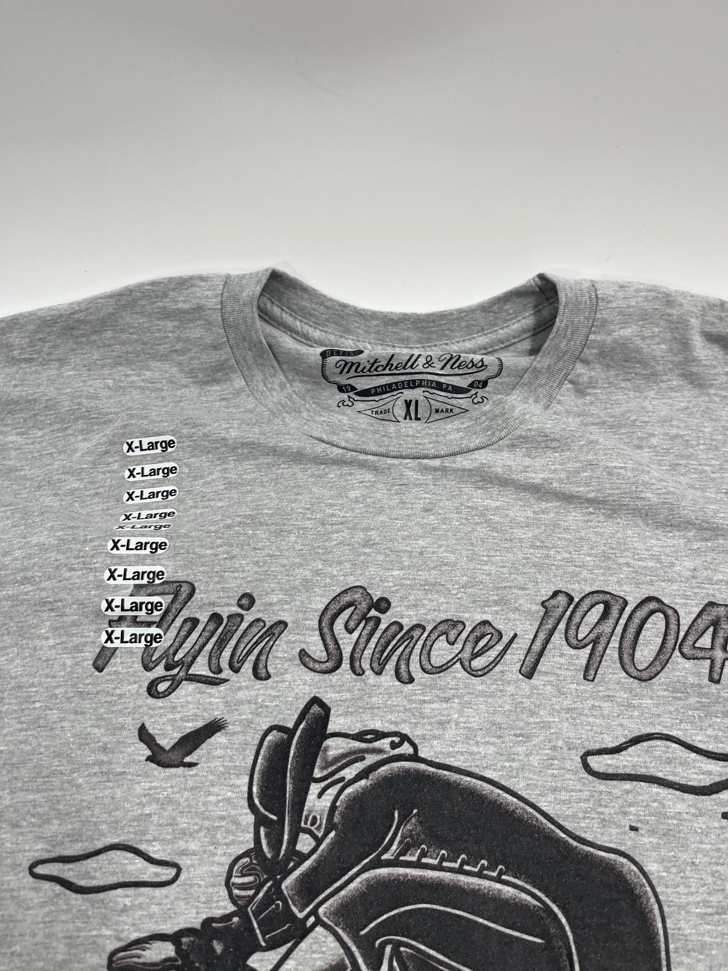 Mitchell & Ness Branded Flying Since Tee (gray)
