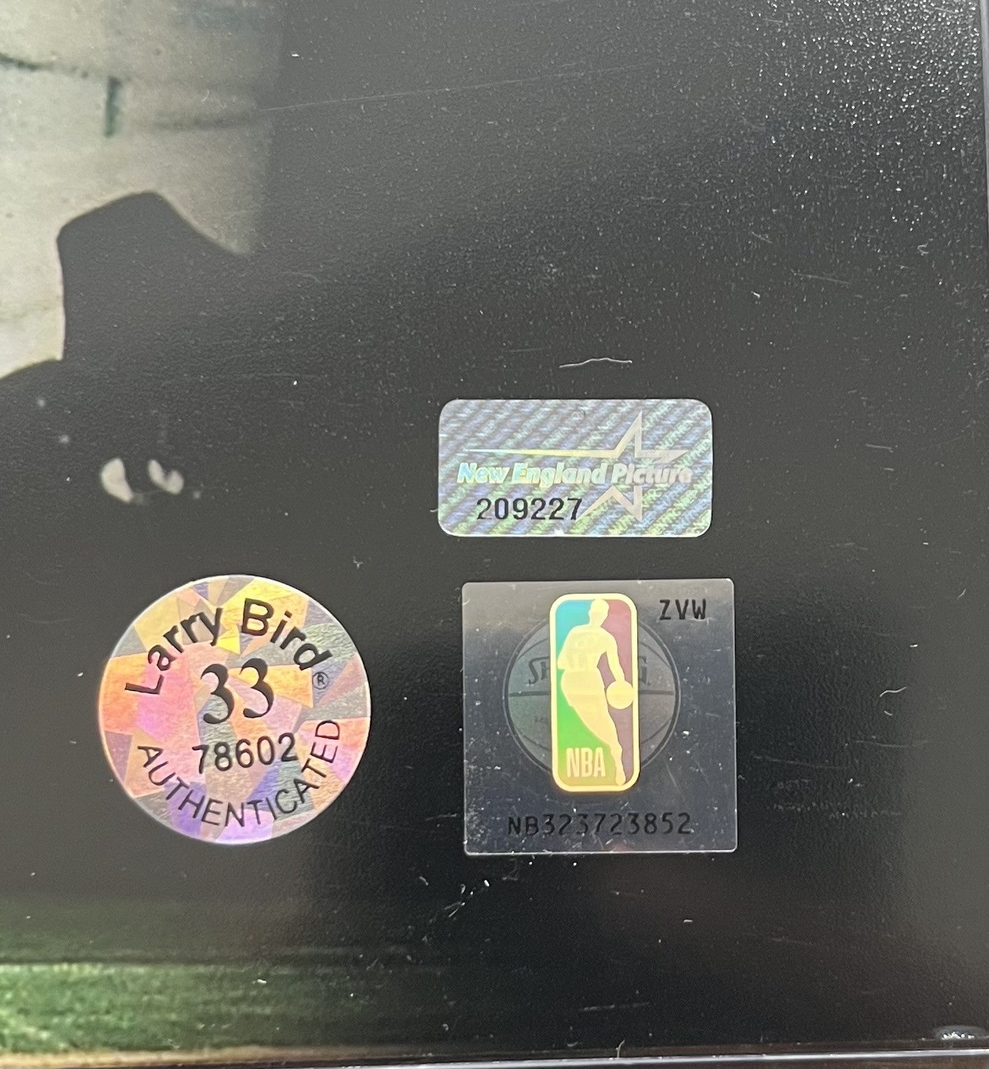 Boston Celtics signed by (3) 16x20 Photo (Bird & New England Picture)