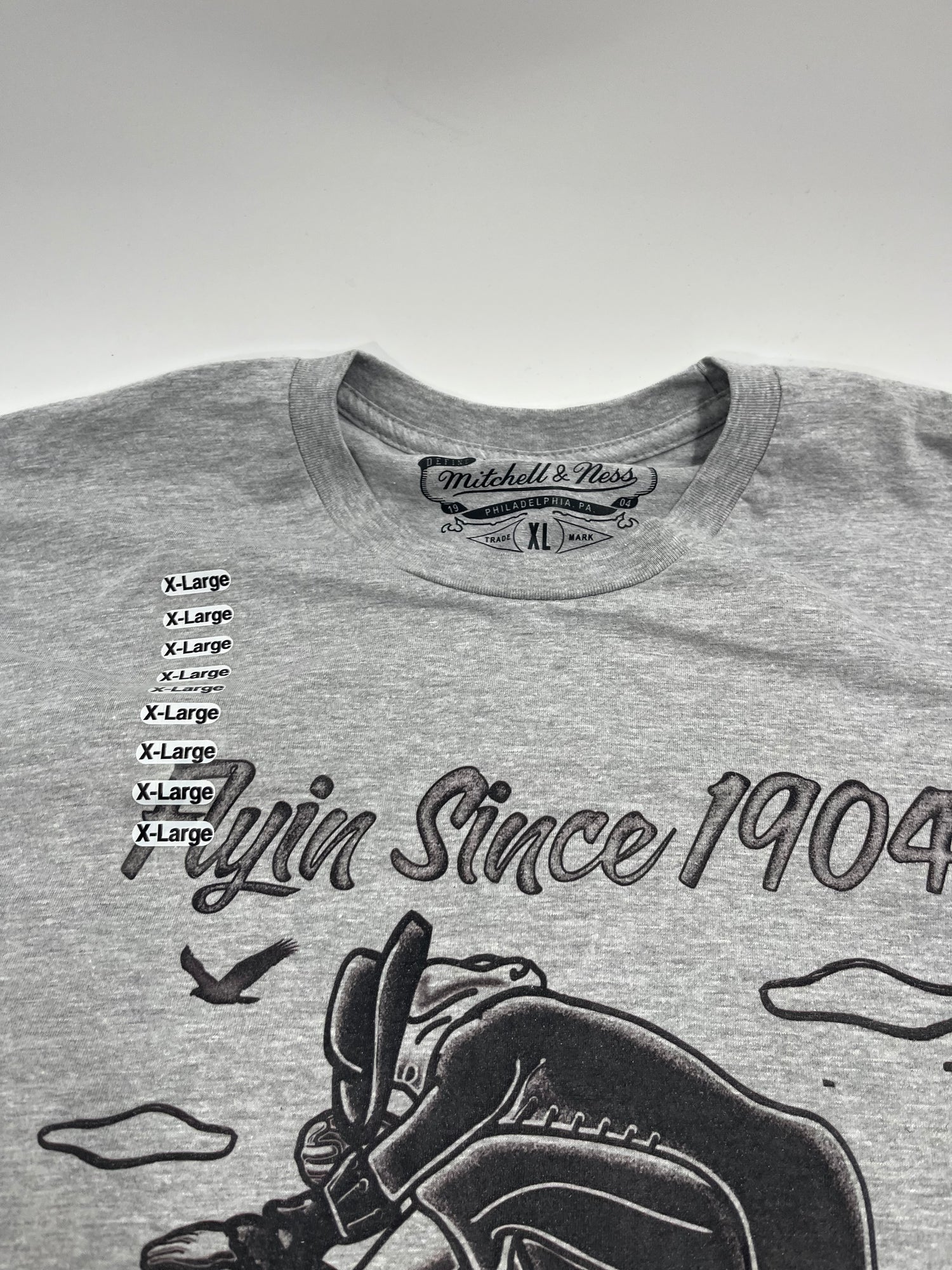 Mitchell &amp; Ness Branded Flying Since Tee (gray)