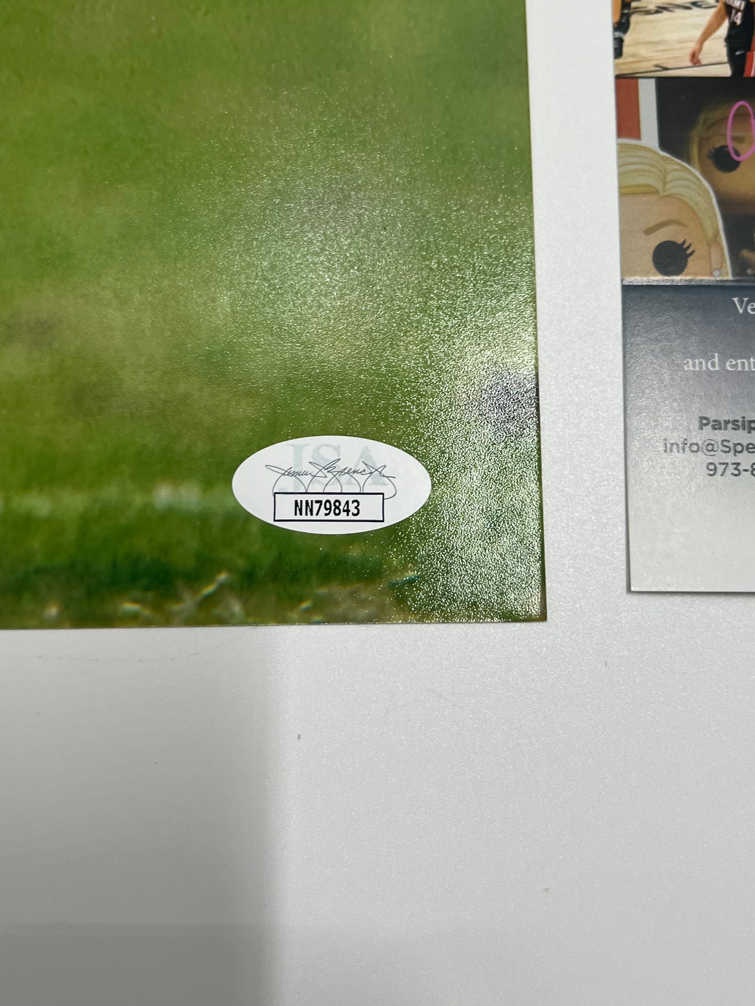 Arian Foster Signed Texans 16x20 Photo (JSA)