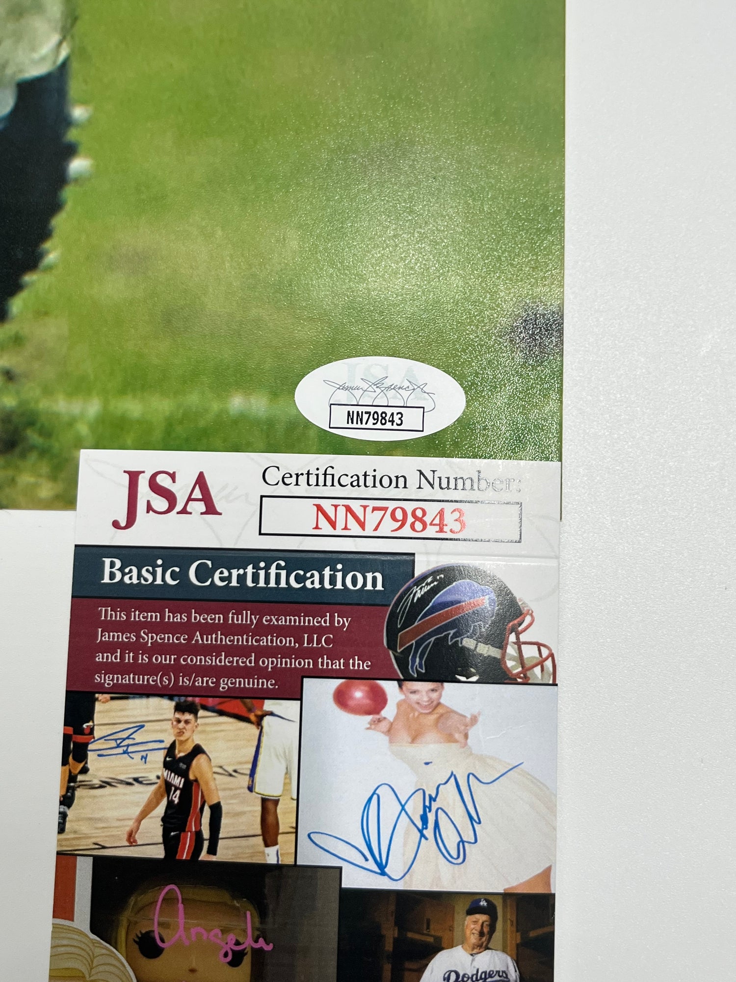 Arian Foster Signed Texans 16x20 Photo (JSA)